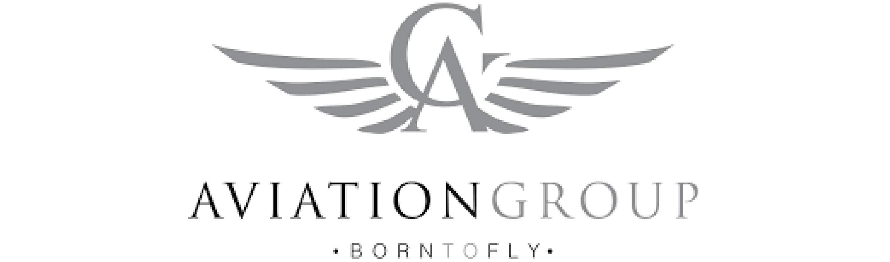 logo Aviation Group